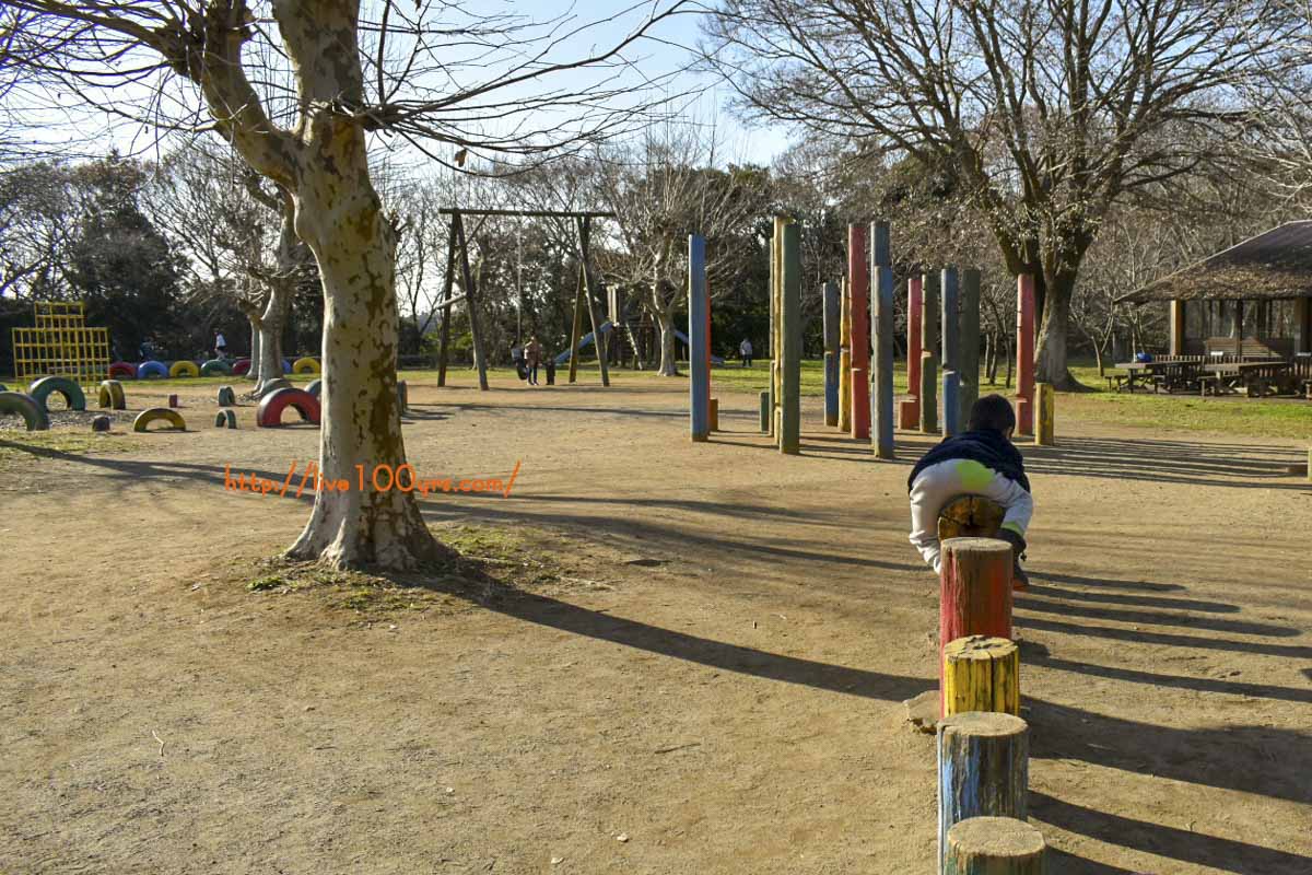 千葉県成田ゆめ牧場 4歳の子供連れで1日遊べます 牧場レビュー Marumarublog