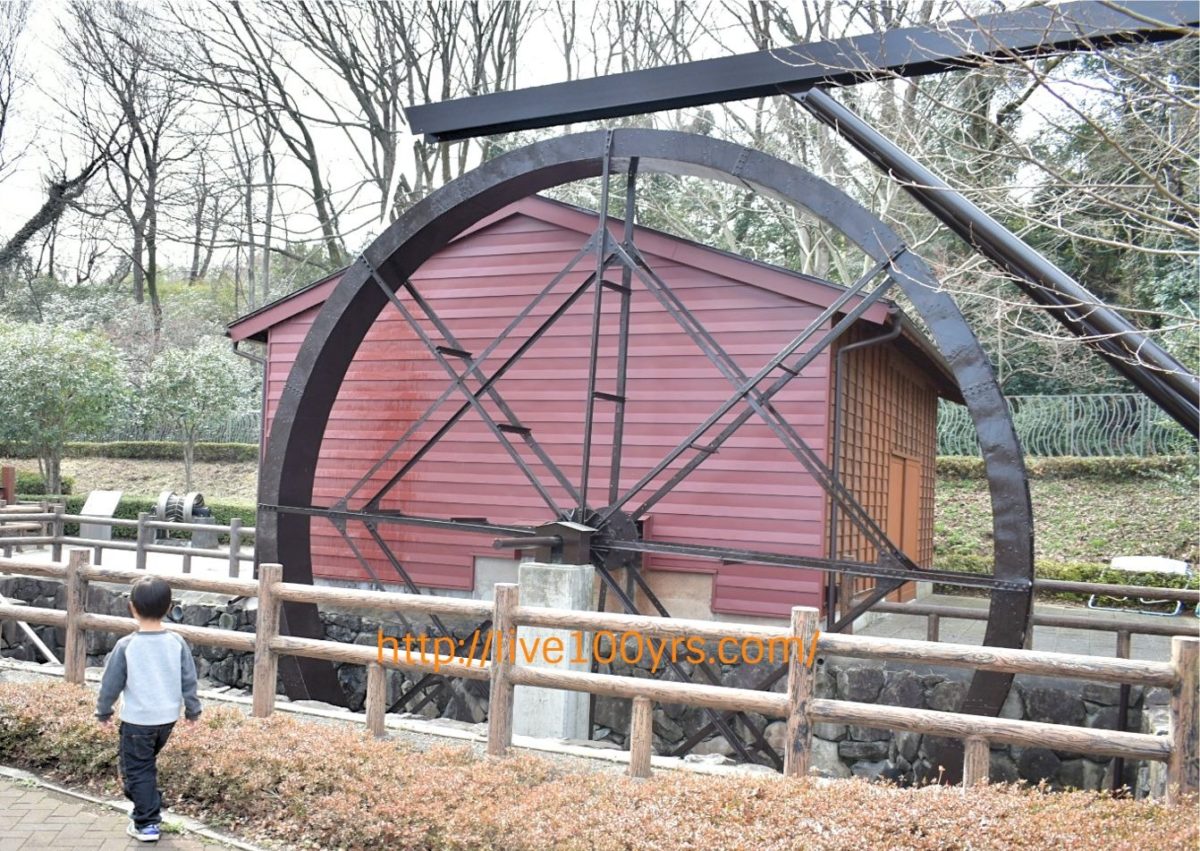 埼玉県立川の博物館の水車小屋広場を見学しました