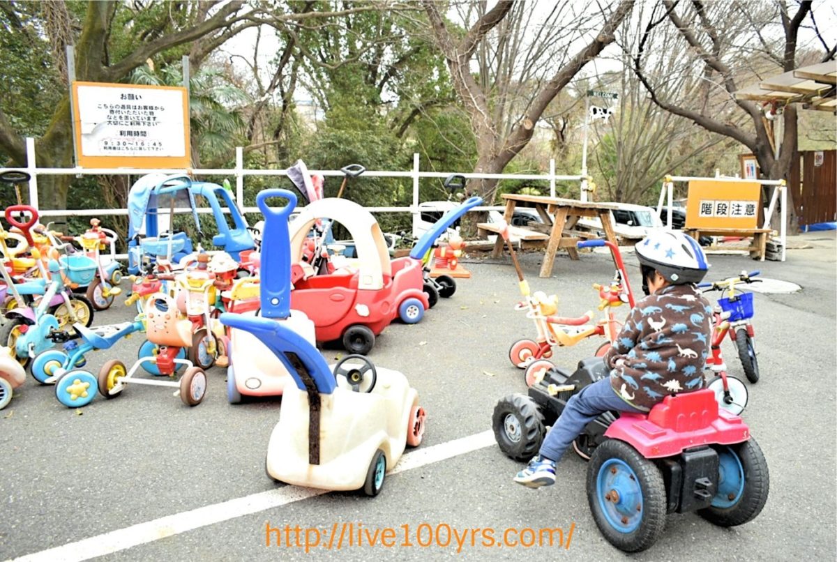 榎本牧場では車のおもちゃで遊べます