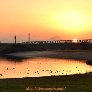 彩湖から見える富士山