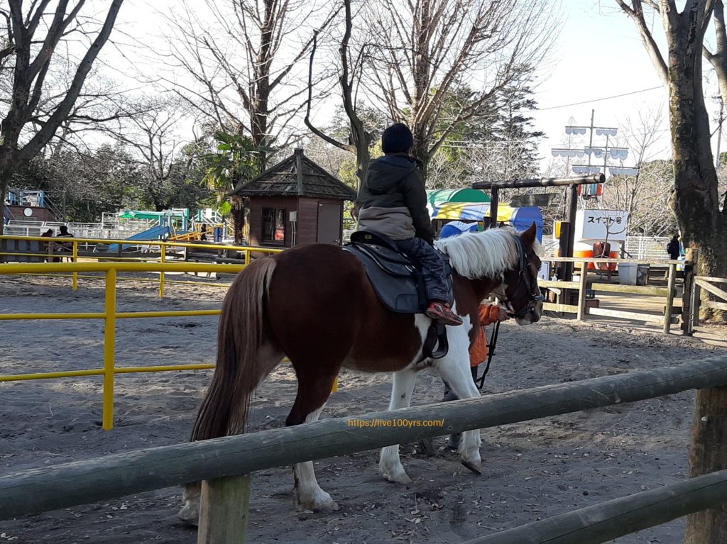 千葉県野田ポニー牧場内で乗馬体験