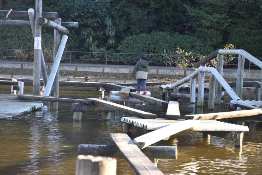 清水公園のフィールドアスレチック、水上コースを頑張る6歳児